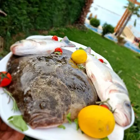 Вилла Kingfish Restaurant & Boutique Patok