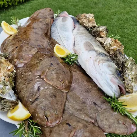 Вилла Kingfish Restaurant & Boutique *
