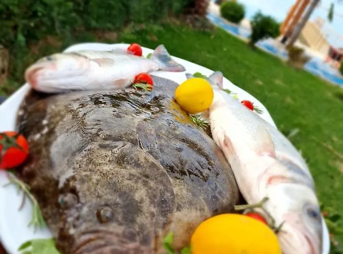 Villa Kingfish Restaurant & Boutique Patok